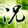 中端显卡京东商城好评榜 有你喜欢的那款吗？